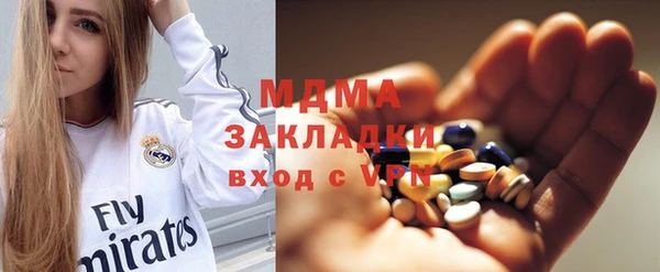 гашик Алексин