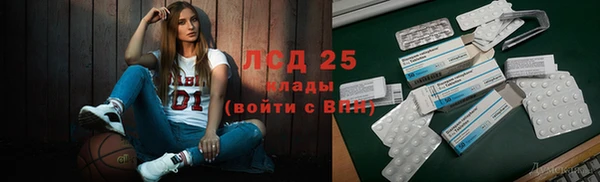 гашик Алексин