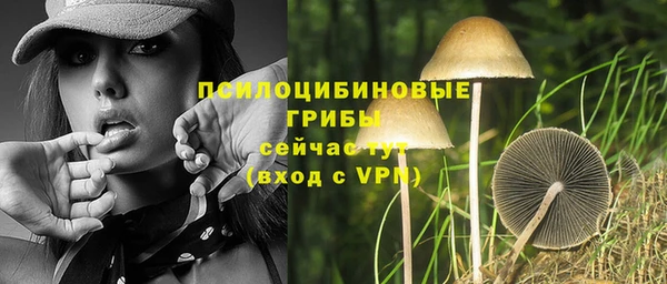гашик Алексин
