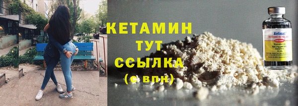 гашик Алексин