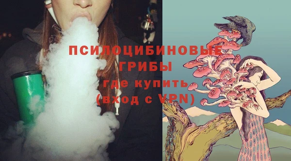 гашик Алексин