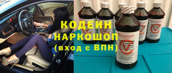 гашик Алексин