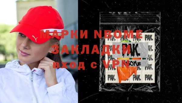 гашик Алексин