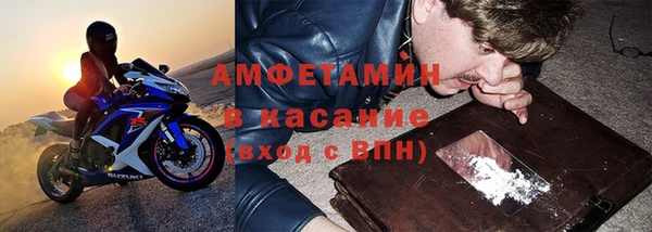 гашик Алексин