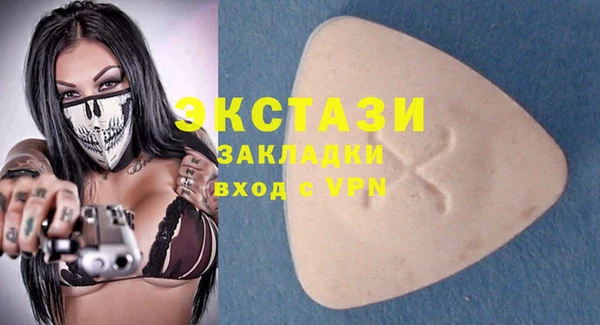гашик Алексин